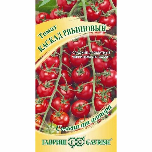 ������ ������ ������ ����� ������ ��������� , ������������, (������) 0,1� �21 ����