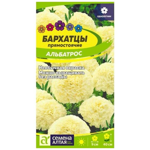 ������ ������ ������ ��������� ��������� 0,1 � ����