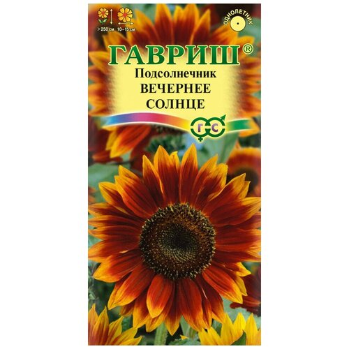 ������ ������ ������ ������������ ������������ �������� ������, 0,5 � ����