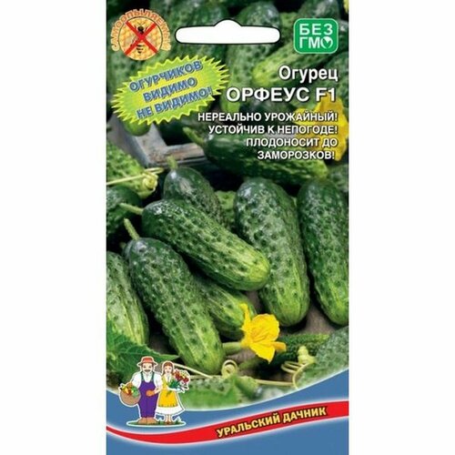 ������ ������ ������ ������ ������ F1 ����. 10�� ����