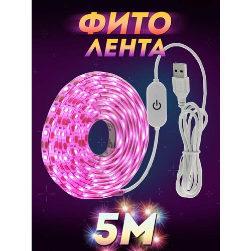 ������ ������ ������������ ����� ��� ������� ����