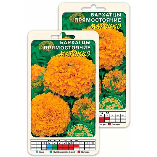 ������ ������ ������ �������� ������������ ������� �������� ���, 2 �� ����