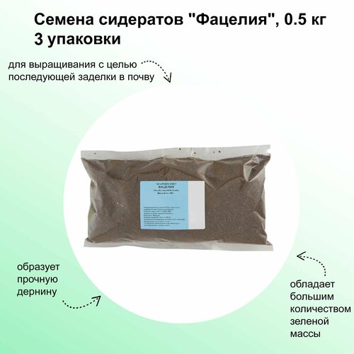 ������ ������ ������ ��������� 