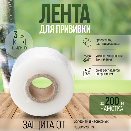 ������ ������ ����� ����������� ������� ��� ��������, ������, ��������, 200 � ����