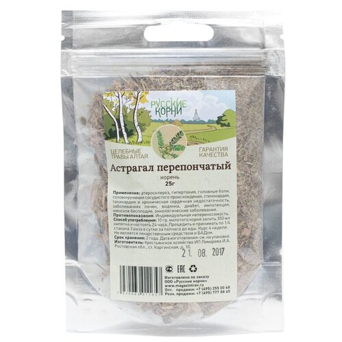 ������ ������ ������� ����� ������ �������� ������������, 25 � ����