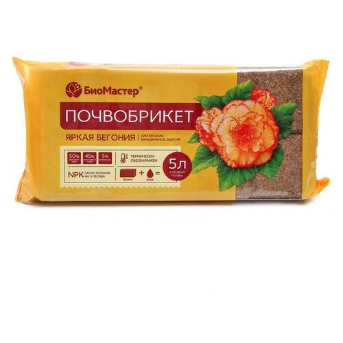 ������ ������ ����������� ����� ������� 5 � (���������) ����