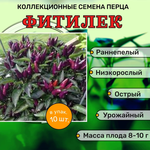 ������ ������ ������������� ������ ����� ������� ������� ����