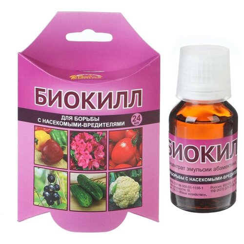 ������ ������ �������� �� ���������� 