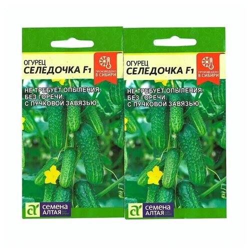 ������ ������ ������ ������ ��������� (������ �����), 2 �������� �� 5 �� ����� ����