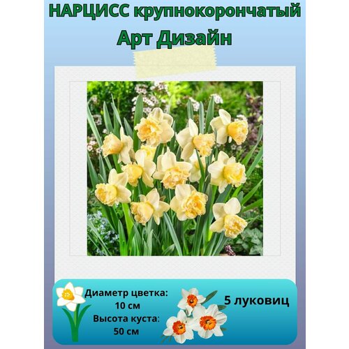 ������ ������ ������� ��� ������, ����������� �����, �������� ��� ������� 5 �� ����