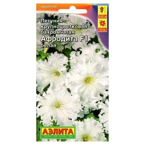 ������ ������ ������� ��������������� �������� ����� F1 ( 3 �������� ) , ������ ����