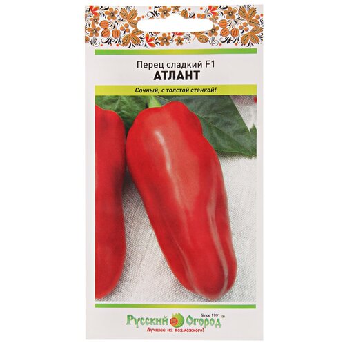 ������ ������ ����� ������� F1 ������ 12�� ����� (1 �����) ����