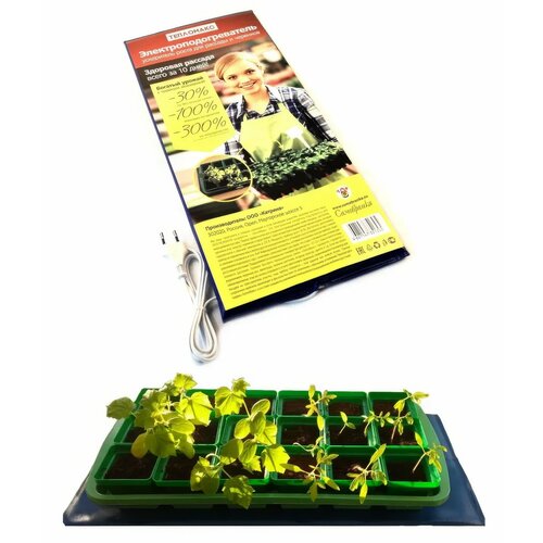 ������ ������ �������������������� ��� ������������ ����� ������� 