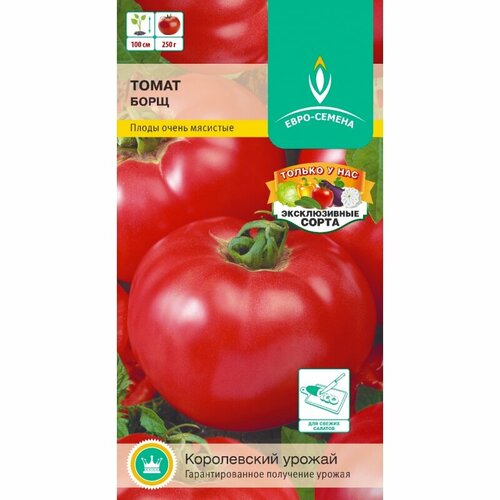 ������ ������ ������ ����� ���� F1 10�� ����� (����-���) ����