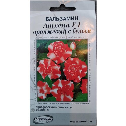 ������ ������ ��������� ������ F1 ��������� � �����, 5 ����� ����