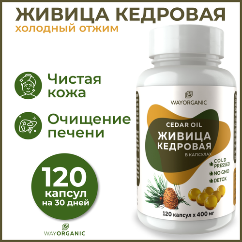 ������ ������ ������ �������� � ��������, ������ ���������, ������ ����