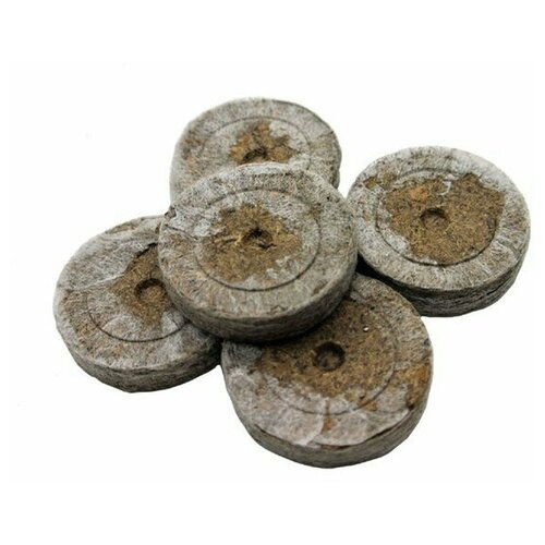 ������ ������ �������� �������� Jiffy 7; 41 ��; 1000 ���� � �������; ����