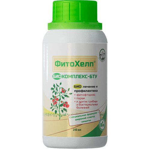 ������ ������ ����������� �������� ��������� �����������-��� 250 �� ����