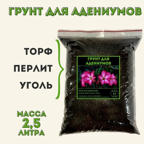 ������ ������ ����� ��� ��������� ����