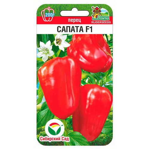 ������ ������ ������ ����� ������ F1 5�� (6-8��) ������ (��������� ���) ����