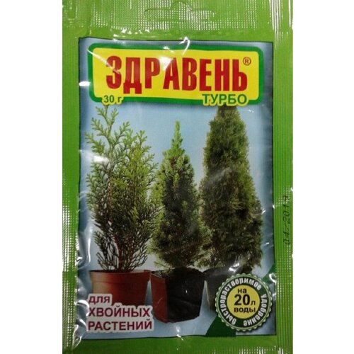 ������ ������ ������ ����