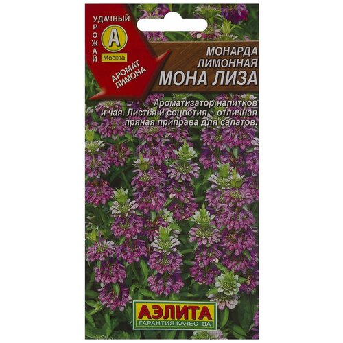 ������ ������ ������. ������� �������� 