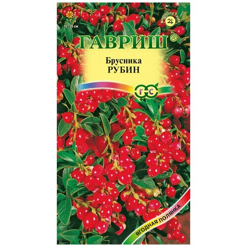 ������ ������ ������. �������� 