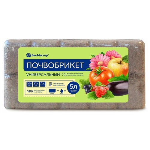 ������ ������ ����������� ��������� �������������, 5 �, 0.39 �� ����