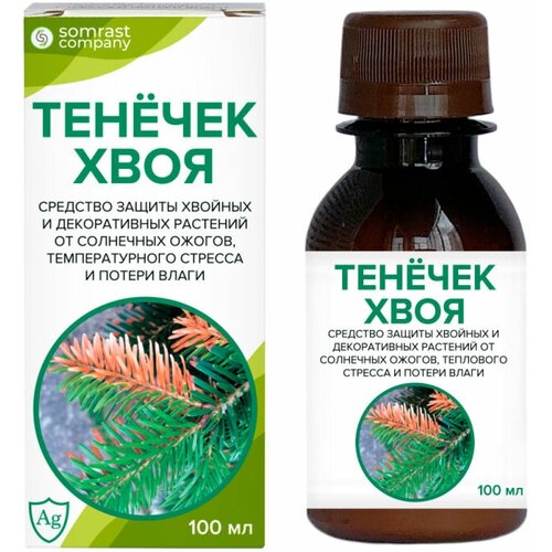 ������ ������ �������� ��� ������ �������� 