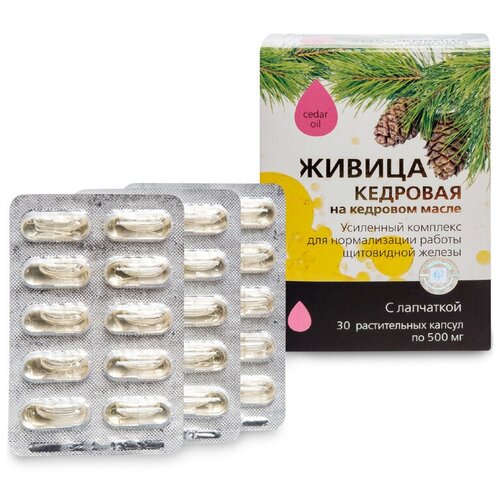 ������ ������ ������� ������-��� ������ �������� �� �������� ����� � ���������, 30 ��. ����