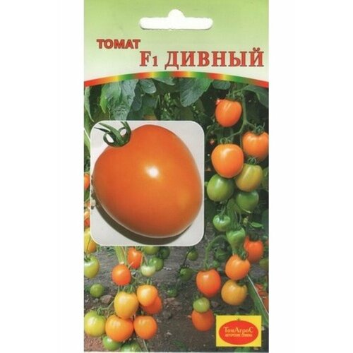 ������ ������ ������ ����� ������ F1 10�� ��� ������ (�����) ����