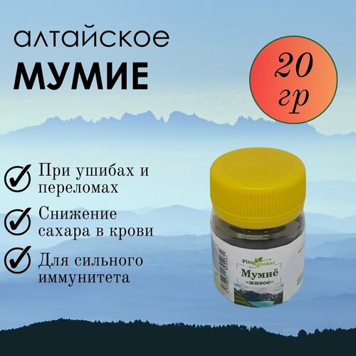 ������ ������ ���� ��������� ����� ����-�������� ��� �������� � ������ ������������, 20 �� ����