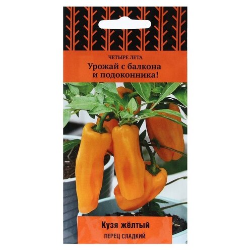 ������ ������ ������ ����� ������ ���� ����� ������� ���� ������ 5 �� ����