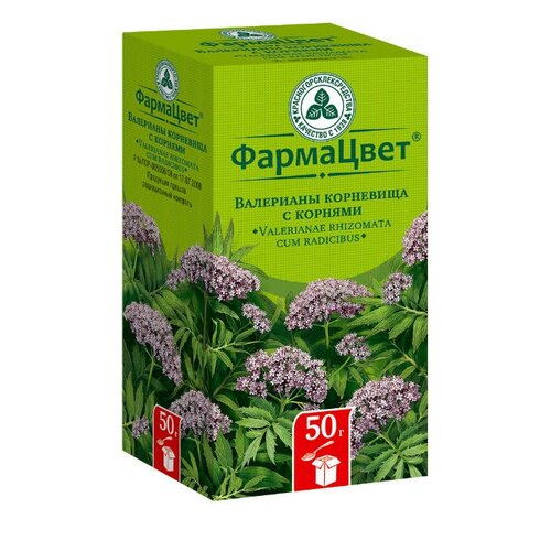 ������ ������ ���������������������� ������������� �������� ��������� ���������, 50 � ����