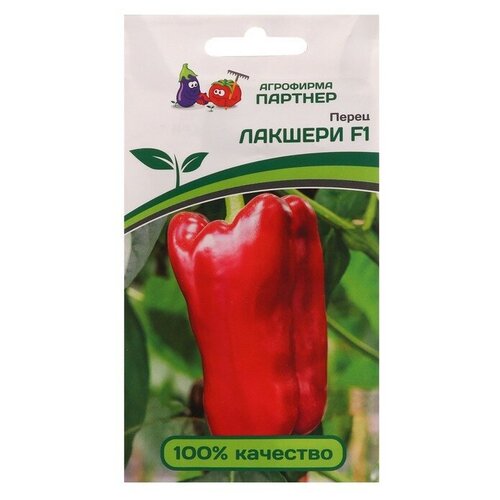 ������ ������ ������� ������ ����� ������� F1 5 �� ������� ����