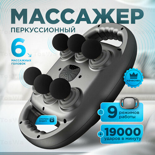 ������ ������ ������������� �������� Toswa � 6-� ��������� ����� ����