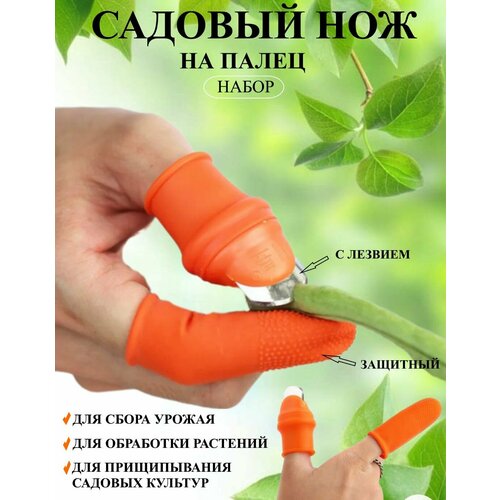������ ������ ���������� ��� ���� � �������, 3 ��, ������-��������� ��������� ����