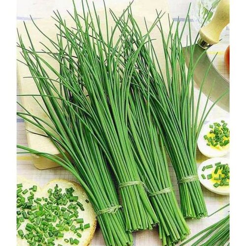 ������ ������ ��� ����� ������� 0.5 ������ ����� ������� ������ ����