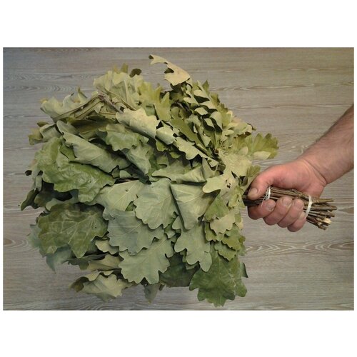 ������ ������ ����� ������� ������� �������� ����