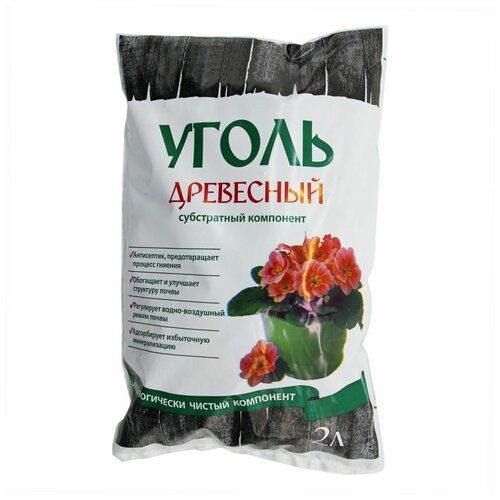 ������ ������ ����� ��������� ��� ��������� �������� ����