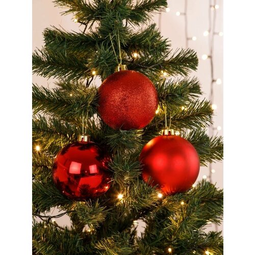 ������ ������ ������� ��������� ����� ������� ����� ������� 12 �� ����