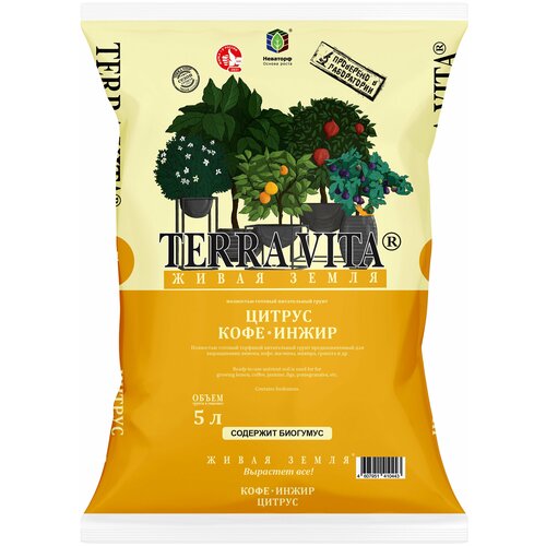 ������ ������ ����� ����� ������-����-����� 5 � ����