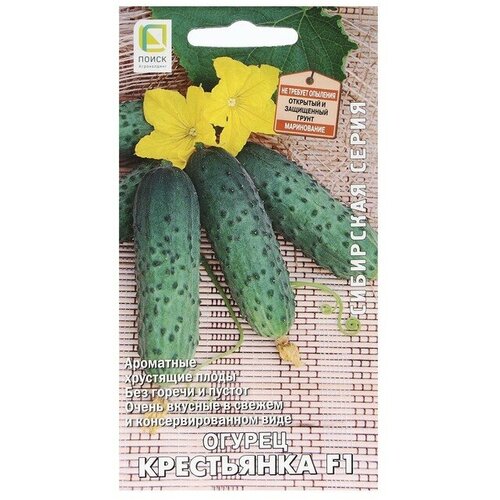 ������ ������ ������ ������ ���������� F1 12�� ������������������ ������ (�����) ����