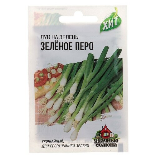 ������ ������ ������ ������ ��� �� ������ 