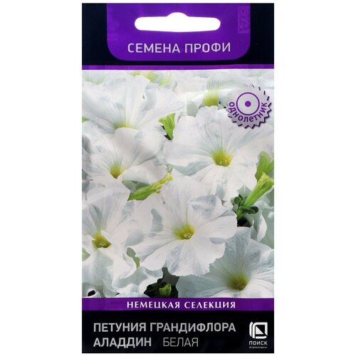 ������ ������ ������ ����� ����� ������� ����������� ������� ����� 30 ��. ����