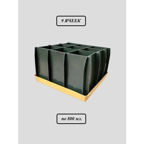 ������ ������ ���� ��� ������� ����