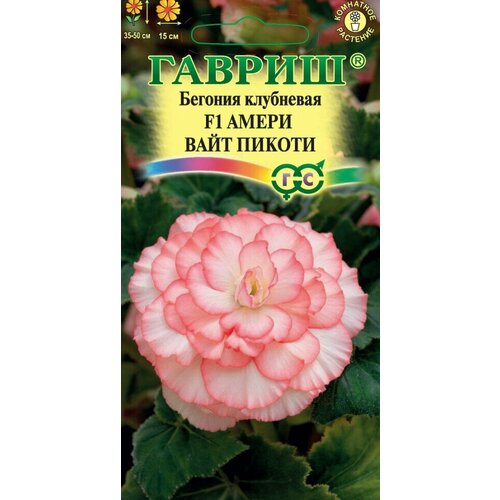 ������ ������ ������, ������� ����� ���� ������ F1 ���������, �23, 4 ������ ����