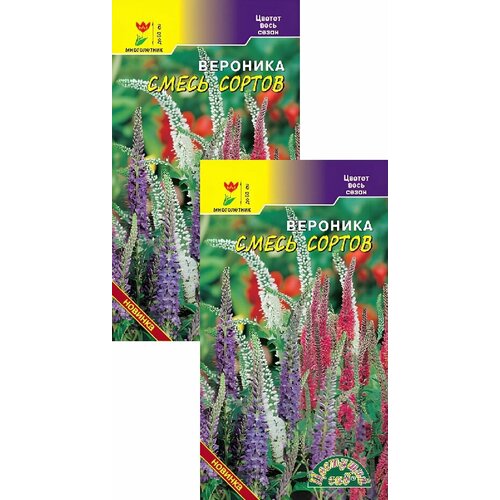 ������ ������ �������� ����� ������ (0,05 �), 2 ������ ����