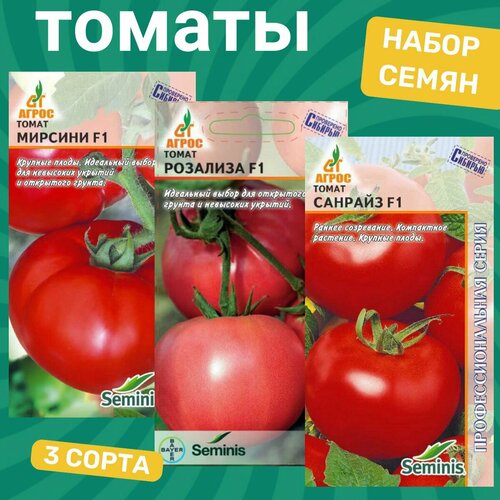 ������ ������ ����� ����� ������� / �������, ��������, ������� ����