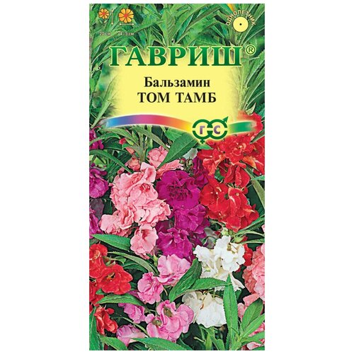 ������ ������ ������ ��������� ���������� ��� ����, �����, 0,1�, ������, ��������� ���������, 10 �������� ����